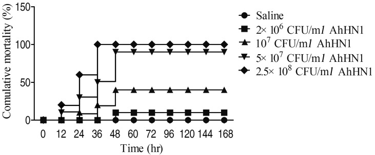 Fig. 2.