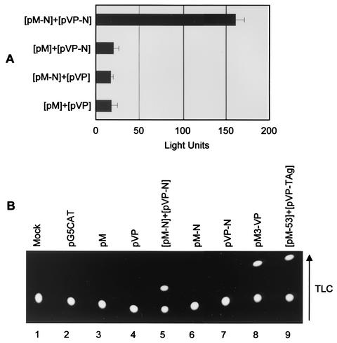 FIG. 6.