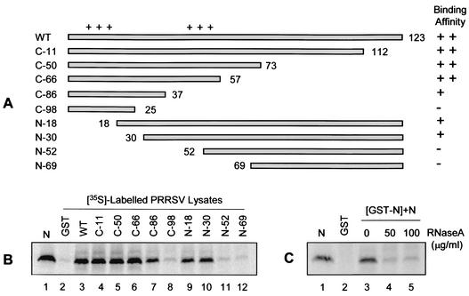 FIG. 8.