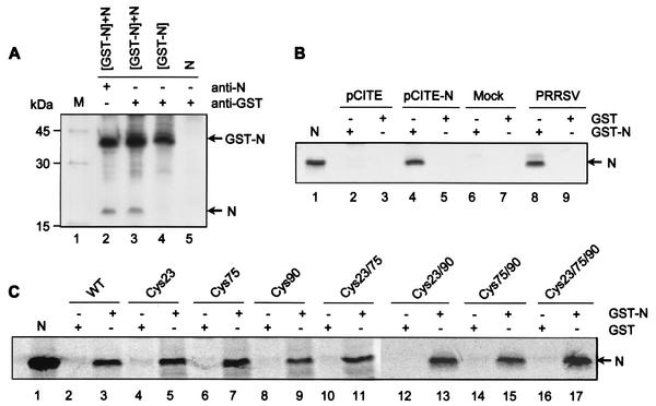 FIG. 7.