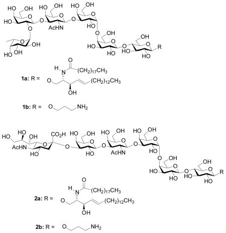 graphic file with name nihms110827u1.jpg