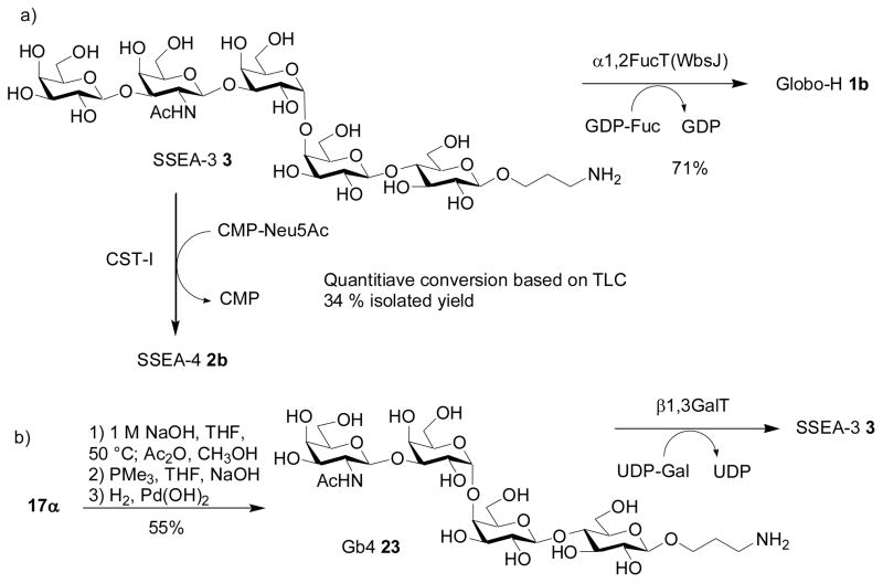 Scheme 4