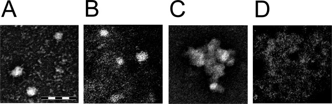 FIG 6