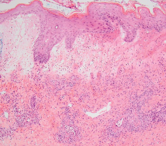 Fig. 7.29