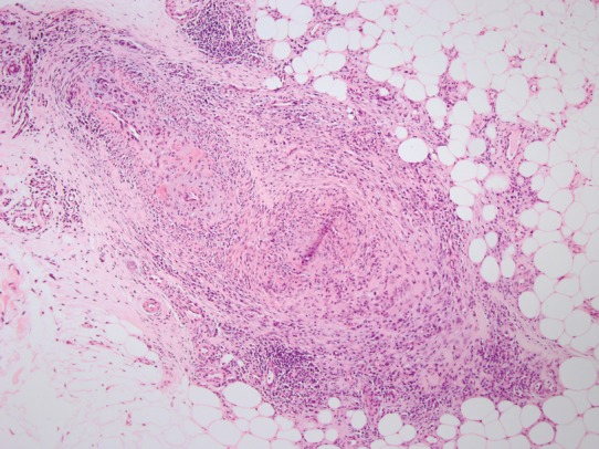 Fig. 7.30