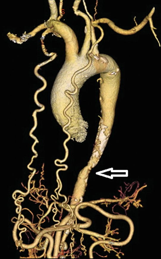 Fig. 7.24