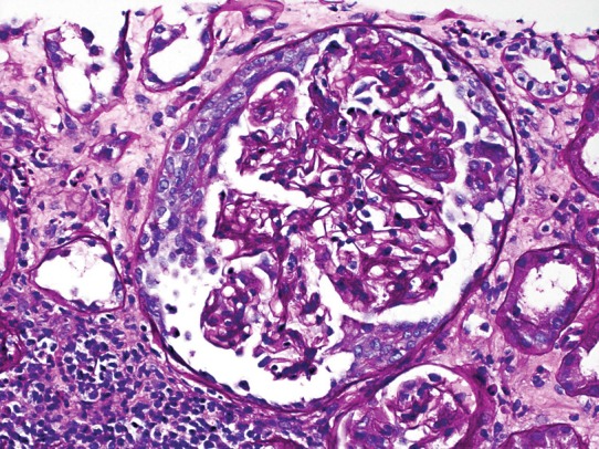 Fig. 7.9
