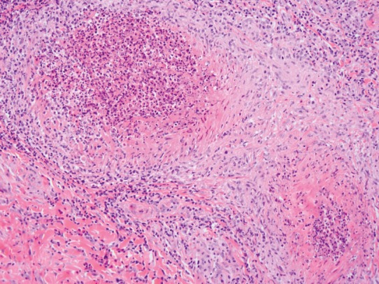 Fig. 7.44