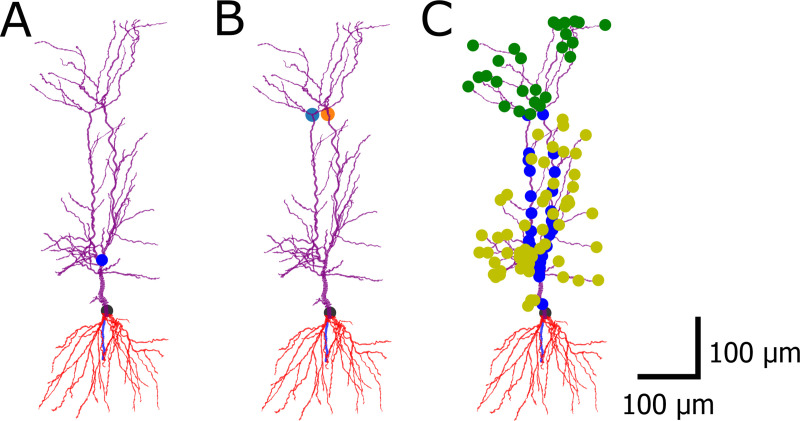 Fig 1