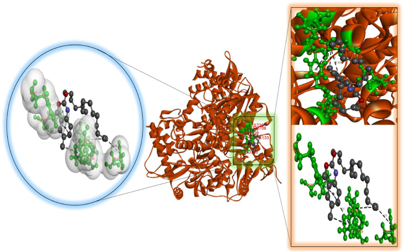 Fig. 3