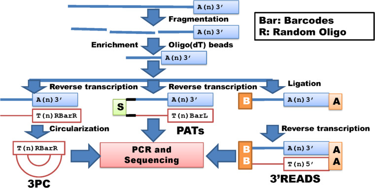 Fig. 4