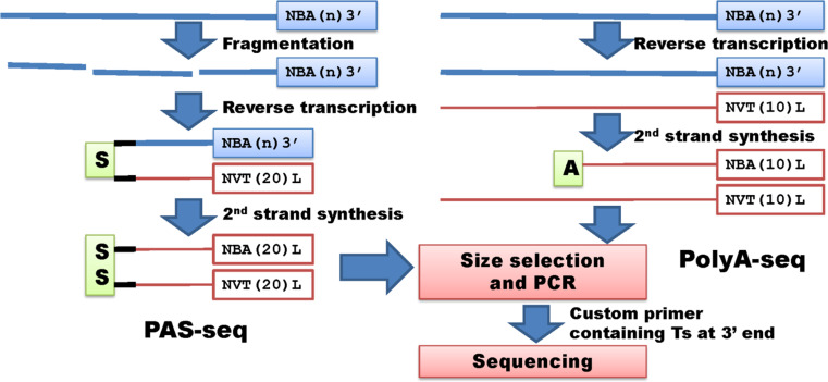 Fig. 6