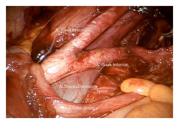 Figure 19