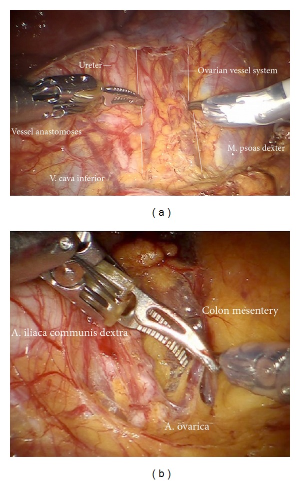 Figure 24