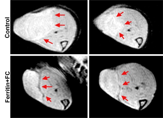 Figure 5d: