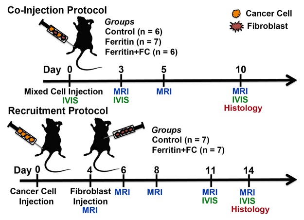 Figure 1: