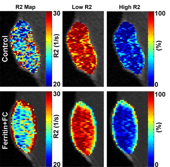 Figure 6a: