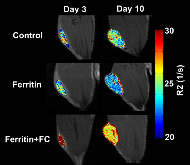 Figure 3b: