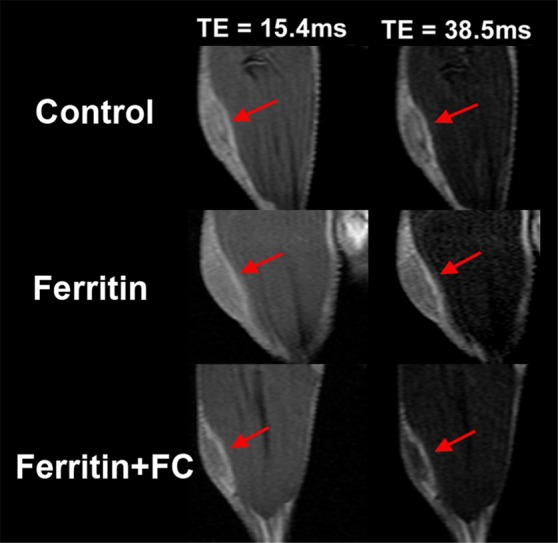 Figure 3a: