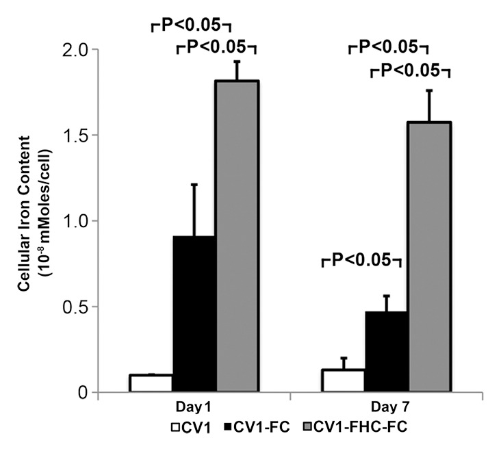 Figure 2d: