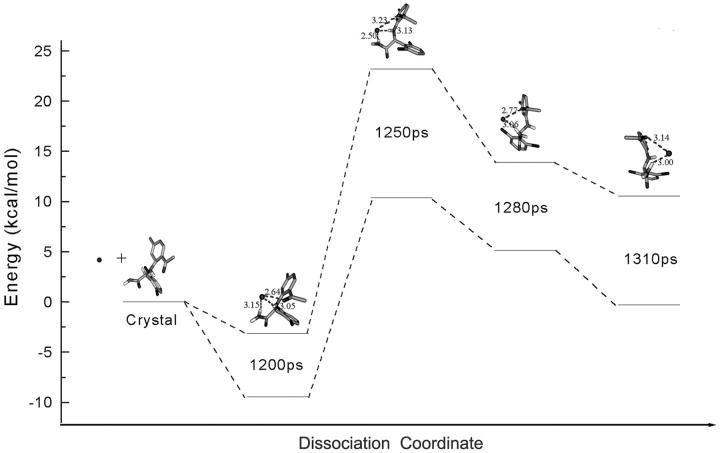 FIGURE 14