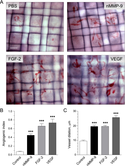 FIGURE 6.