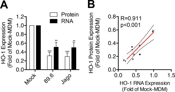 FIG 4