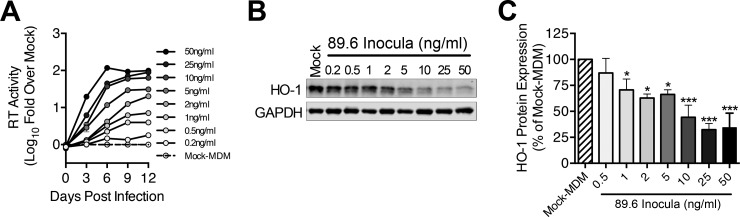 FIG 3