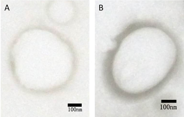 Figure 2.