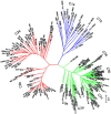 Fig 10