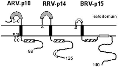 FIG. 9.