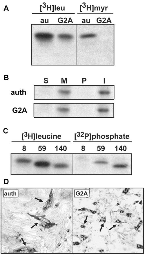 FIG. 7.