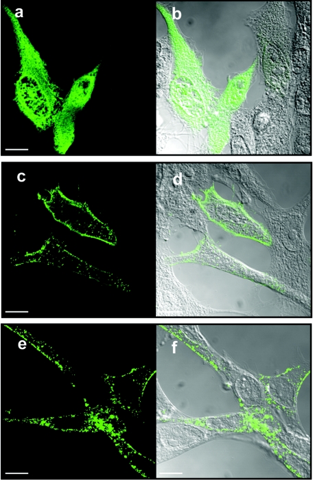 FIG. 8.