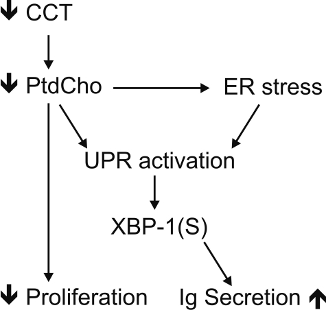 FIGURE 9.