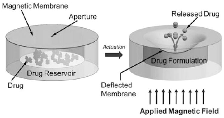 Fig. 12