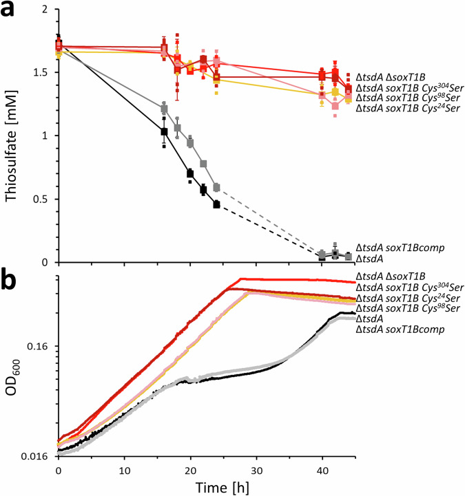 Fig. 4