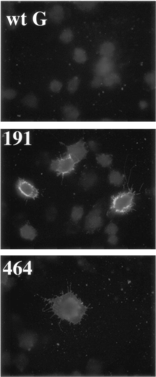 FIG. 5.