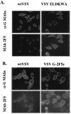 FIG. 7.