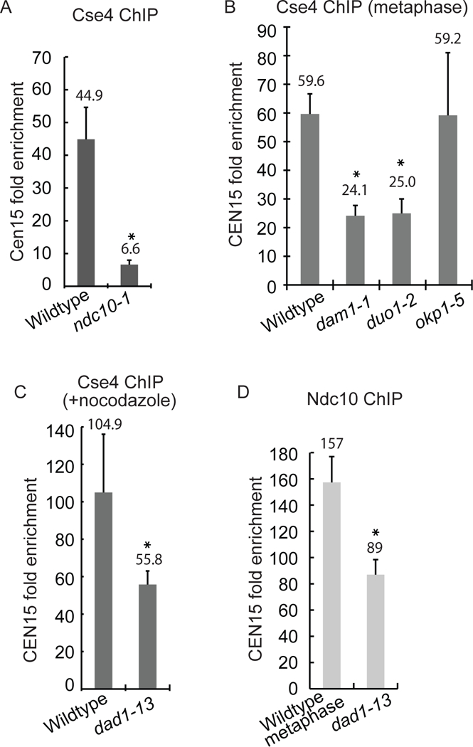 Figure 4)