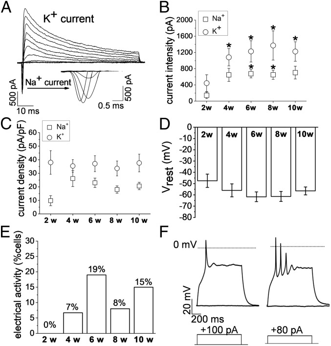 Fig. 4.