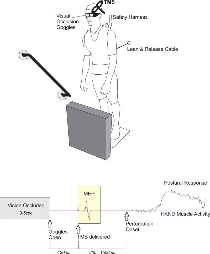 Figure 1: