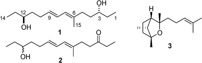 Fig. 2