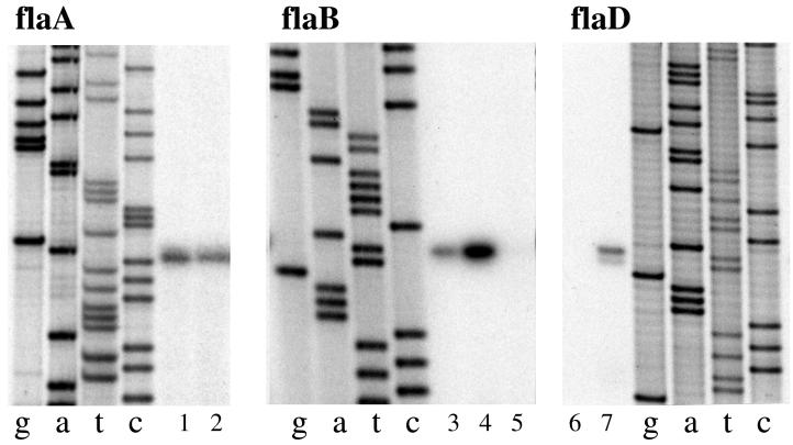 FIG. 4