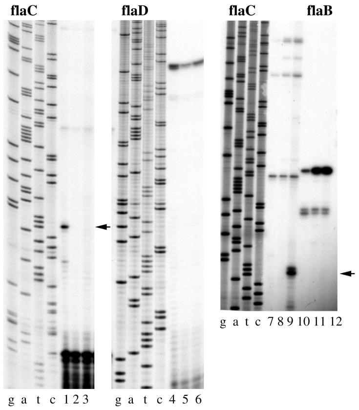 FIG. 5