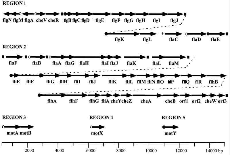 FIG. 3