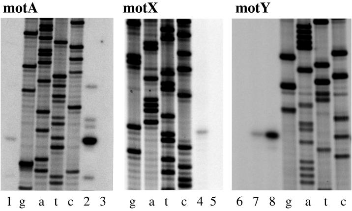 FIG. 6