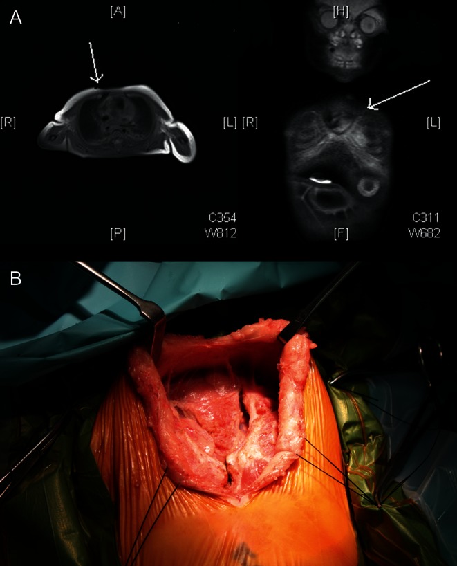 Figure 1: