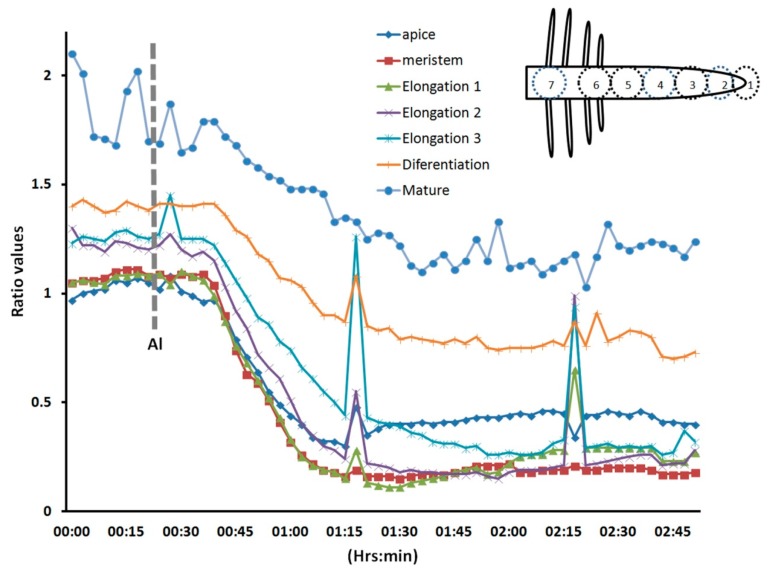 Figure 6.