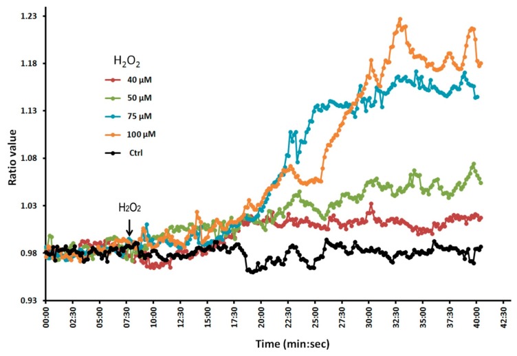 Figure 2.