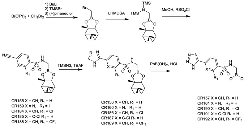 Figure 13